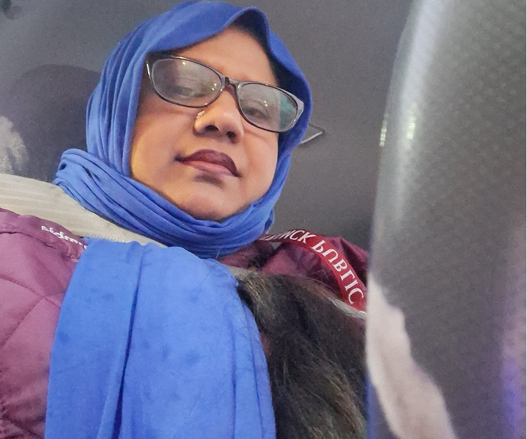 সে লি না  শি ল্পী 